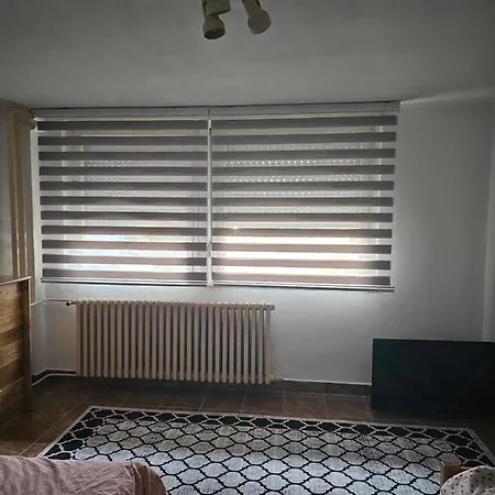 Maja Borik * Banja Luka